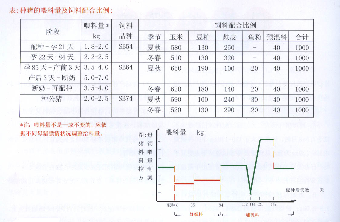 母猪饲料使用图.jpg